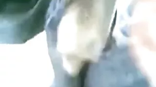 Hijab blowjob