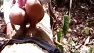 Melayu belangrijkste di hutan