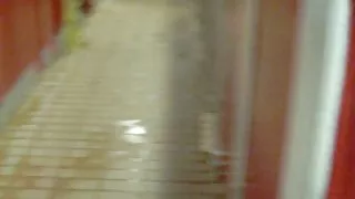 Vrouw zwembad blowjob