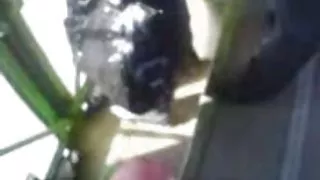 Masturbatie openbaar vervoer 3