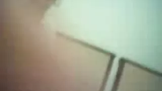 Arabische teef