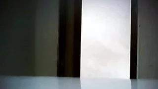 Spy toilet