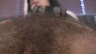 Zeer harige kut
