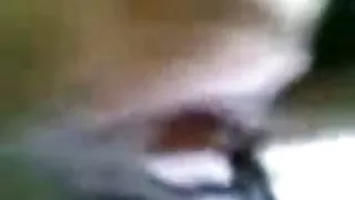 Maleis - romen kat rumah kosong