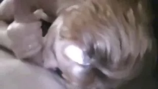 Echt een goede moeder en haar zoon sex