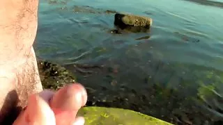 Verzending beachcomber krijgt gelukkig weer...