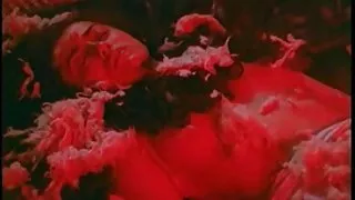 Shahrukh khan (niet naakt) sex scene