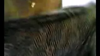 Sexy grote borsten kerala tante
