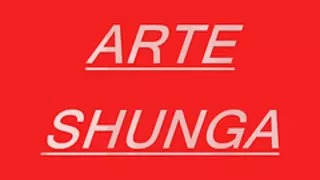 Shunga kunst
