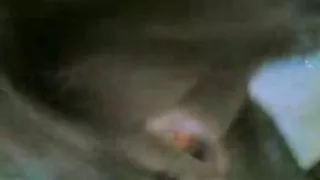 Arabisch meisje zuigt zwarte pik